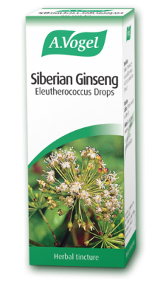 Siberian Ginseng