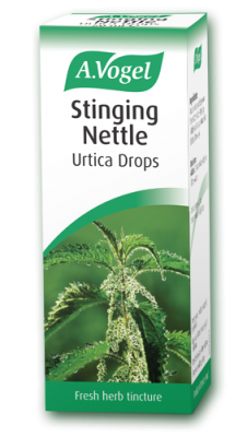 Stinging Nettle