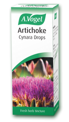 Artichoke (Cynara scolymus)