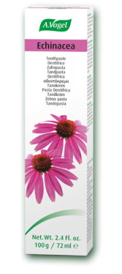 Echinacea toothpaste