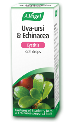 Uva-ursi and Echinacea – for cystitis