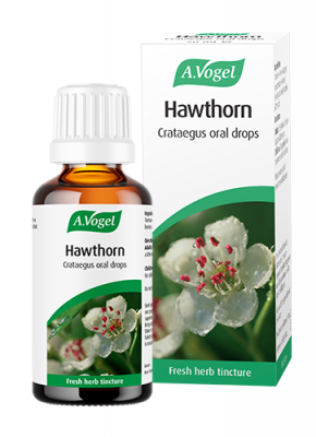 Hawthorn (Crataegus)