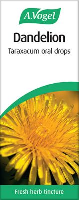 Dandelion (Taraxacum)