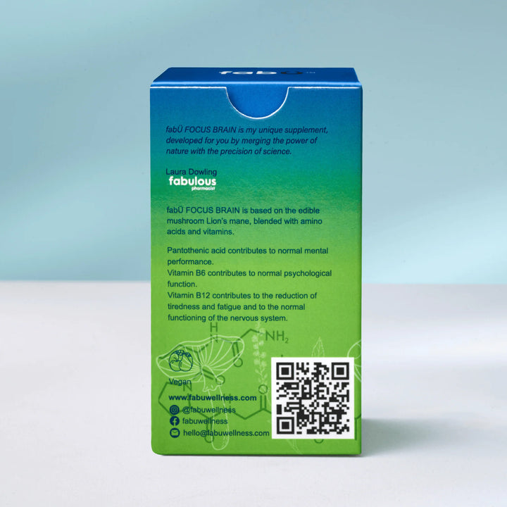 FabÜ Focus Brain