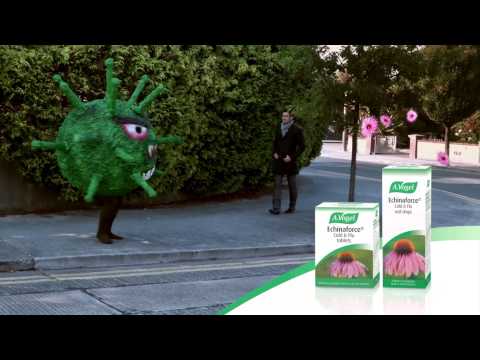 Echinaforce® - Cold and Flu drops and tablets for cold and flu relief